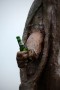Thumbs/tn_Werfpop 2015 176.jpg